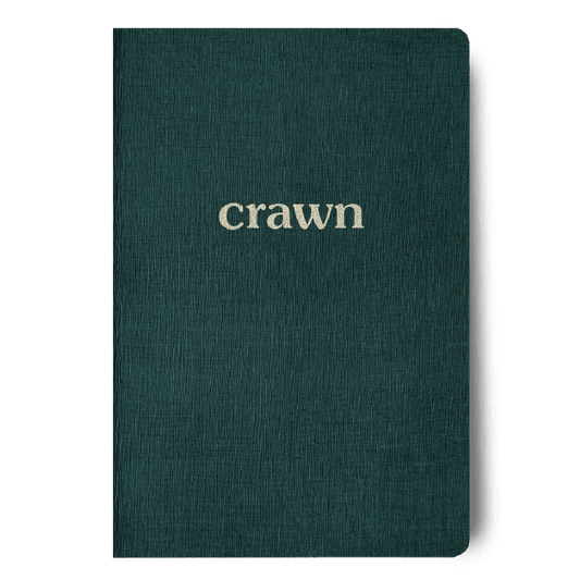 Agenda Crawn Focus Planner | Planificador diario 2025 | Tapa dura